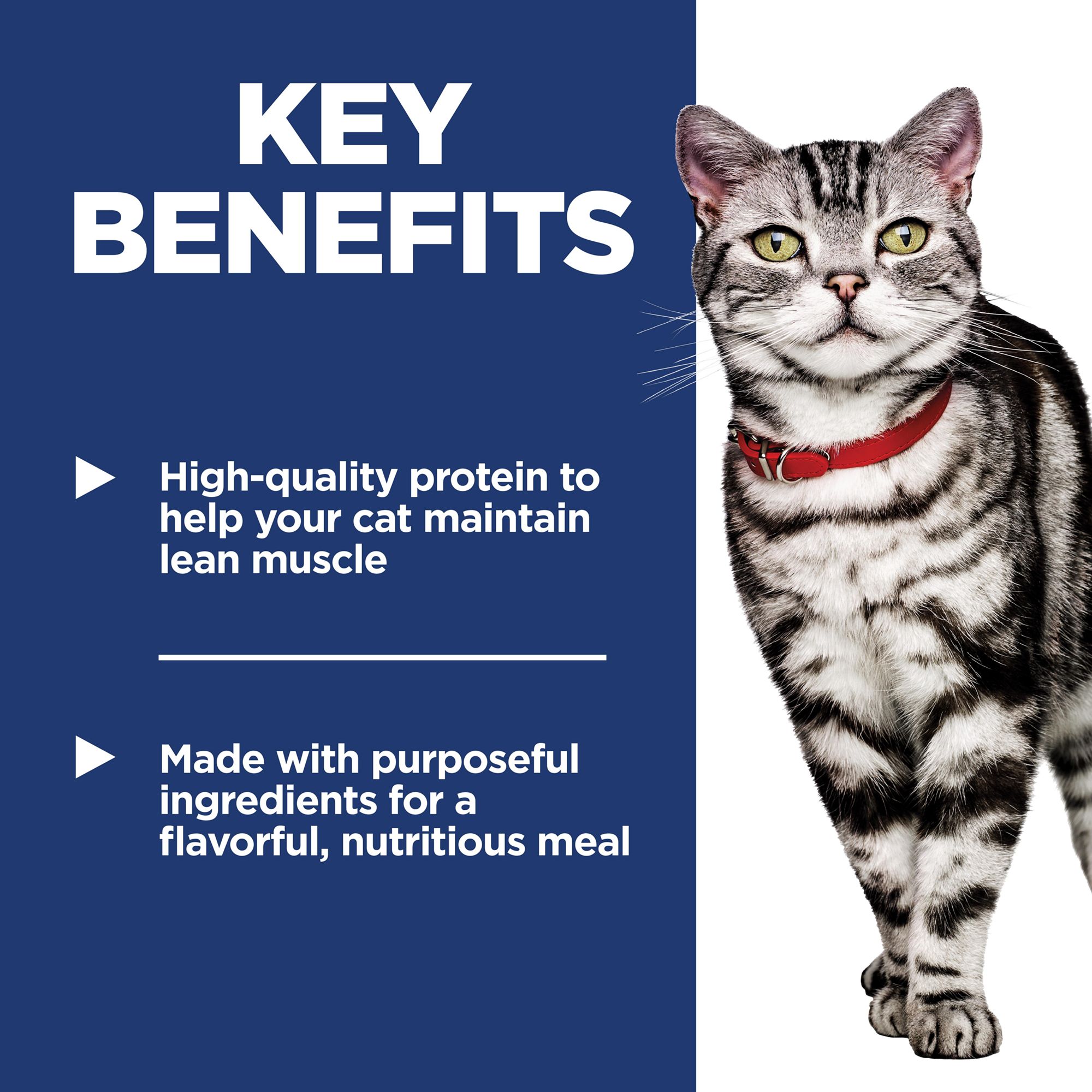 Hill's Science Diet Cat - Indoor, Stew, Pouch, 2.8 OZ - thumbnail 5