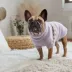 GF PET Fuzzy Sweater Lavender image thumbnail 2