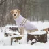 GF PET Fuzzy Sweater Lavender image thumbnail 3
