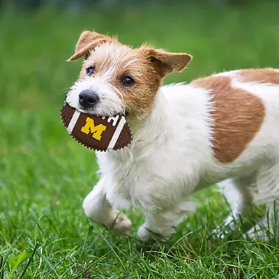 Product Michigan Hard Nylon Football Dog Chew Toy