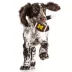 Michigan Hard Nylon Football Dog Chew Toy image thumbnail 4