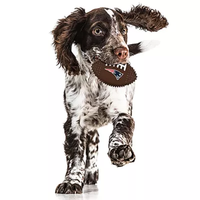 Product New England Patriots Hard Nylon Football Dog Chew Toy