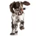 Oklahoma Hard Nylon Football Dog Chew Toy image thumbnail 3