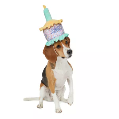 Product Hotel Doggy Birthday Theme Plush "Happy Barkday" Cake Hat For Dogs