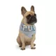 Product Hotel Doggy Birthday Theme "Birthday Pup" Dog Bandana - Grey