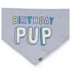 Product Hotel Doggy Birthday Theme "Birthday Pup" Dog Bandana - Grey