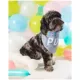 Product Hotel Doggy Birthday Theme "Birthday Pup" Dog Bandana - Grey