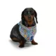 Product Hotel Doggy Birthday Theme Dog Bandana - Multi Colour