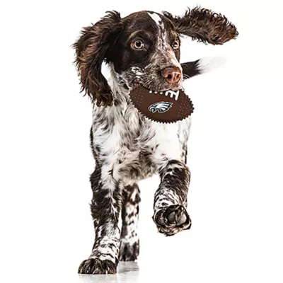 Product Philadelphia Eagles Hard Nylon Football Dog Chew Toy