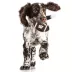 Wisconsin Hard Nylon Football Dog Chew Toy image thumbnail 4