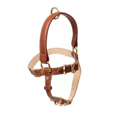 KANDOG Leather Handle Harness - Image 1