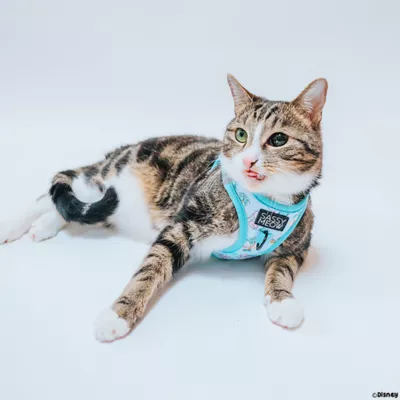 Product Sassy Meow Stitch Cat Harness