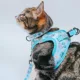 Product Sassy Meow Stitch Cat Collar