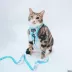 Sassy Meow Stitch Cat Leash image thumbnail 4