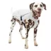 Kurgo® Halifax Rain Shell for Dogs image thumbnail 1