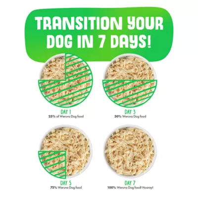 Weruva Dog Classic Adult Wet Dog Food - Grain Free, Shreds in Gravy, 5.5 oz - Image 5