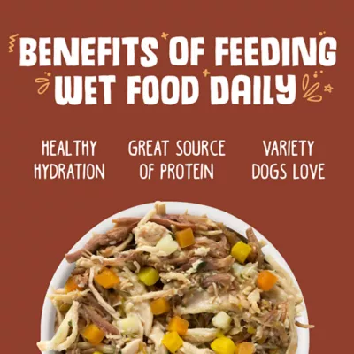 Weruva Dog Classic Adult Wet Dog Food - Grain Free, Shreds in Gravy, 5.5 oz - Image 6