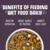 Weruva Dog Classic Adult Wet Dog Food - Grain Free, Shreds in Gravy, 5.5 oz image thumbnail 6