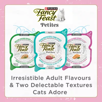 Product Fancy Feast Wet Kitten Food Petites Kitten - Salmon Entrée Pâté, 79.4 g