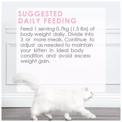 Product Fancy Feast Wet Kitten Food Petites Kitten - Salmon Entrée Pâté, 79.4 g