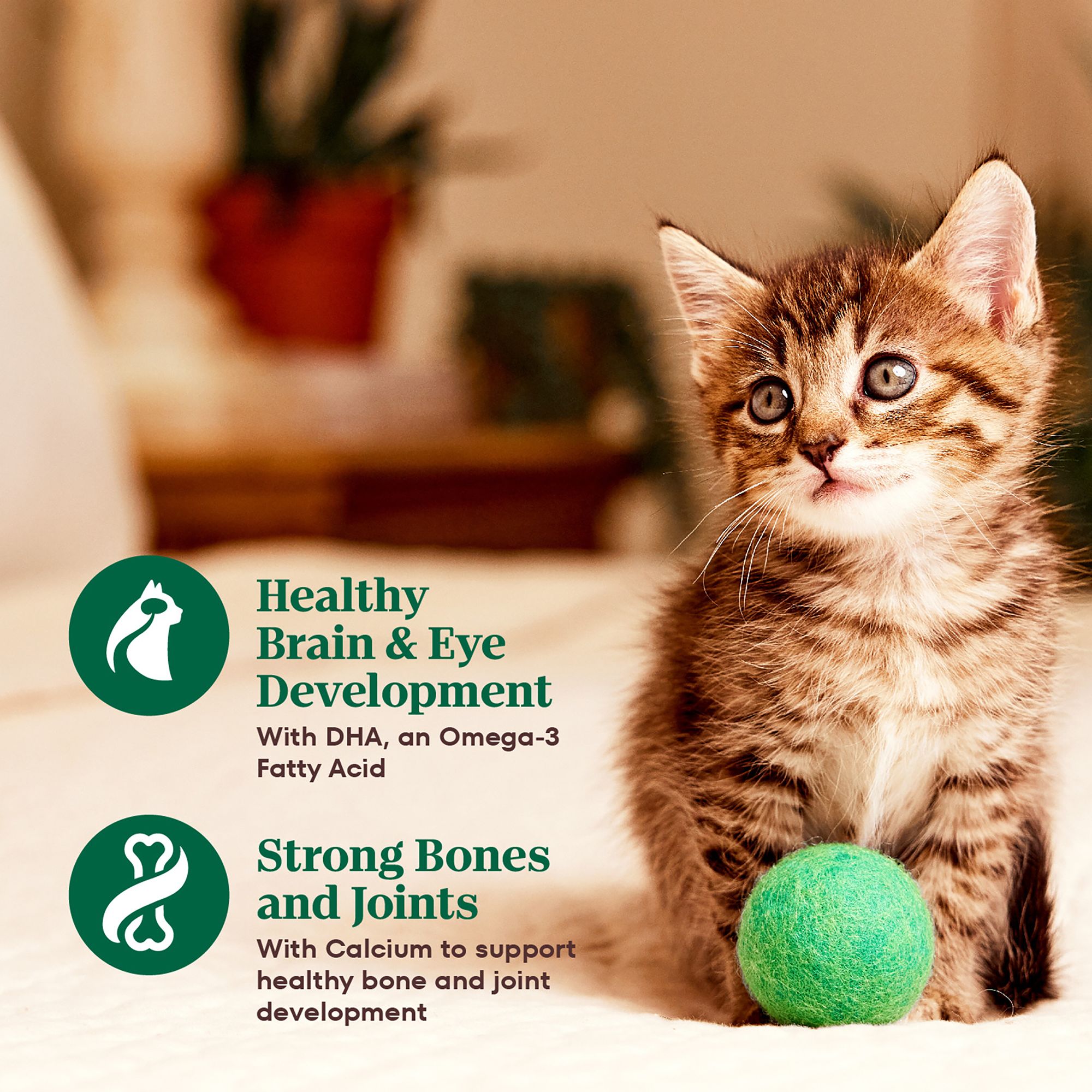 Nutro Cat - Kitten, Pate, Split Cup, Variety Pack, 12 CT, 31.7 OZ - thumbnail 4