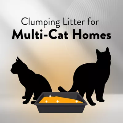 Product ARM & HAMMER Hardball Lightweight Cat Litter, Clumping, No-Mess Scooping, Multi-Cat