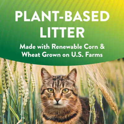 Product Arm & Hammer - Plant Power Cat Litter, Bag