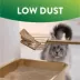 Arm & Hammer - Plant Power Cat Litter, Bag image thumbnail 8