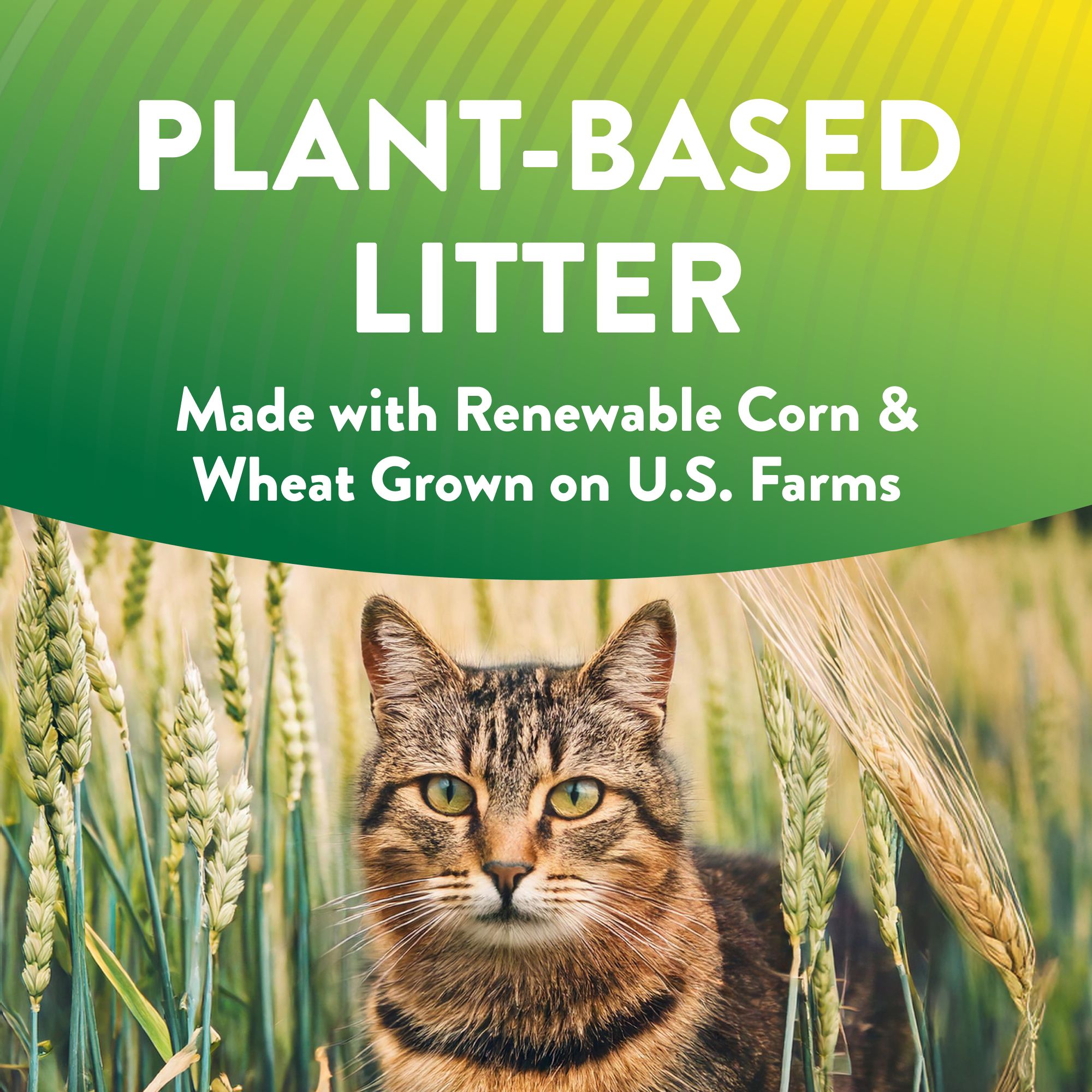 Arm & Hammer - Plant Power Cat Litter, Bag - thumbnail 4