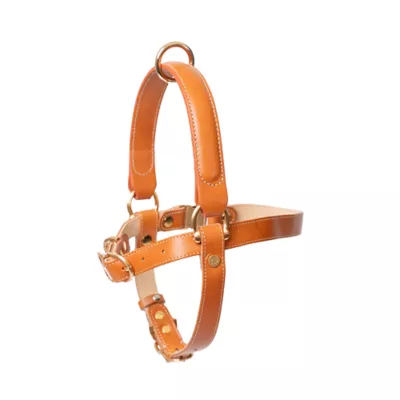 Product KANDOG Leather Handle Harness