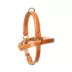 KANDOG Leather Handle Harness image thumbnail 1