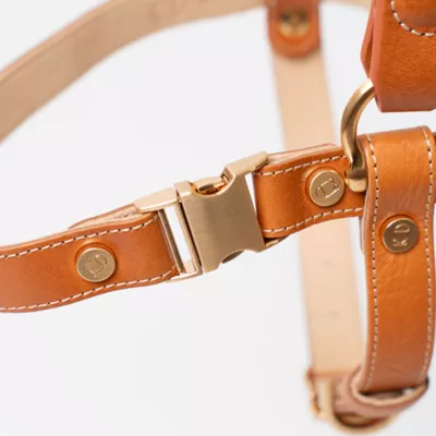 Product KANDOG Leather Handle Harness