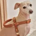KANDOG Leather Handle Harness image thumbnail 3