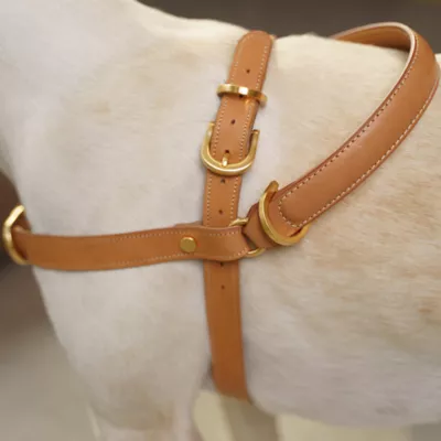 Product KANDOG Leather Handle Harness