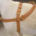 KANDOG Leather Handle Harness image thumbnail 4