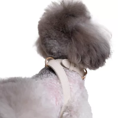 Product KANDOG Waterproof Dog Harness