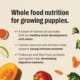 Product The Honest Kitchen Whole Grain Clusters Puppy Dry Dog Food - Chicken & Oat