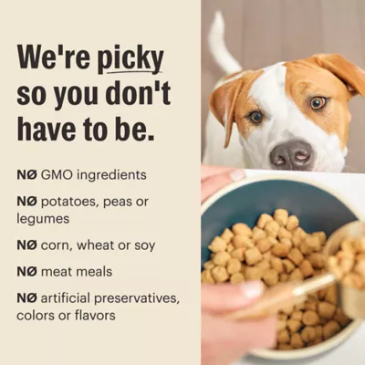 Product The Honest Kitchen Whole Grain Clusters Puppy Dry Dog Food - Chicken & Oat