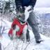 Kurgo® Loft Dog Jacket Chili Red Charcoal image thumbnail 7