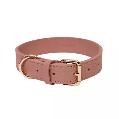 KANDOG Waterproof Pastel Dog Collar - Image 1