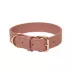 KANDOG Waterproof Pastel Dog Collar image thumbnail 1