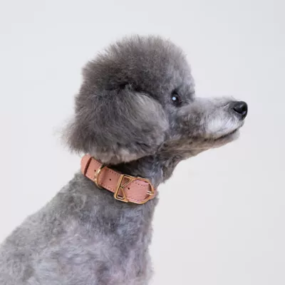 KANDOG Waterproof Pastel Dog Collar - Image 2