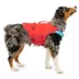 Kurgo® Surf n' Turf Life Vest image thumbnail 1
