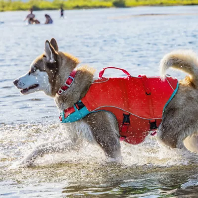 Kurgo® Surf n' Turf Life Vest - Image 5