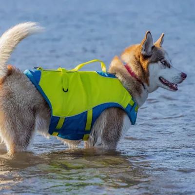 Product Kurgo® Surf n' Turf Life Vest