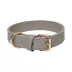KANDOG Waterproof Pastel Dog Collar image thumbnail 1