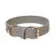 Product KANDOG Waterproof Pastel Dog Collar