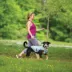 Kurgo® Core Cooling Dog Vest image thumbnail 6