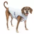 Kurgo® Core Cooling Dog Vest image thumbnail 1
