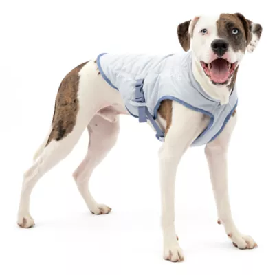 Kurgo® Core Cooling Dog Vest - Image 1